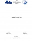 Caida de la Urss por medio de sus causas