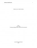 Análisis de caso, modelos mentales