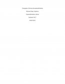 Conceptos y formas de emprendimiento