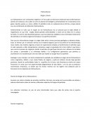 Hidrocarburos Origen y Teoria