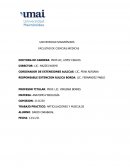 Articulaciones y Musculos