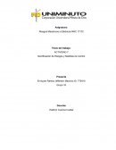 Identificación de Riesgos y Medidas de Control