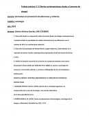 Trabajo práctico n° 2 (Teorías contemporáneas duales y Consumo de drogas)