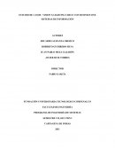 ESTUDIO DE CASOS: VISION X LIGHTING CRECE CON BUSINESS ONE SISTEMAS DE INFORMACIÓN