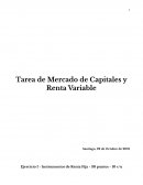 Tarea de Mercado de Capitales y Renta Variable