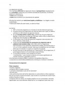 Las migraciones actuales