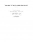 SOBREEXPLOTACIÓN Y PRIVATIZACIÓN DE RECURSOS NATURALES EN CHILE