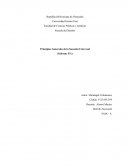 Principios Generales de la Sucesión Universal