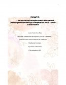 Ensayo Pymes Ecuatorianas