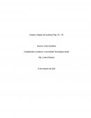 Ensayo Etapas de Auditoria