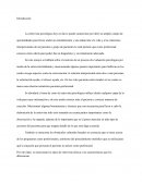 Ensayo entrevista psicologica Sullivan