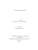 CIMIENTOS ORGANIZACIONALES. TEORIA ORGANIZACIONAL BBVA