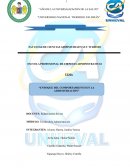 Monografía de Teorías