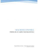 Analisis cuadro macroeconomico