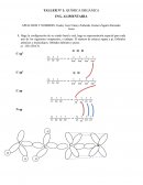 TALLER N° 1: QUÍMICA ORGÁNICA