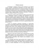 Pitiriasis Versicolor