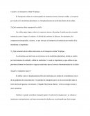 ¿Qué es el transporte celular? Explique