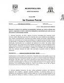Examen neurobiologia