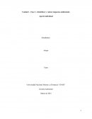 Fase 2 - Identificar y valorar impactos ambientales