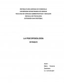 EXTENSIÓN SAN CRISTÓBAL LA PSICOFISIOLOGÍA