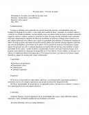 Proyecto áulico: “Sesiones de juego”