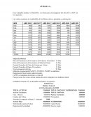 Administracion presupuestaria Avigas S.A.