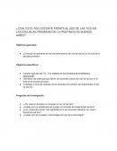 Cuál es el rol docente frente al uso de las TIC en las escuelas primarias de la provincia de Buenos Aires?
