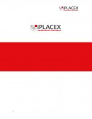 Evaluación técnica, económica para todo tipo de cliente y estratégica para la implementación de una empresa de Detailing Automotriz en Punta Arenas