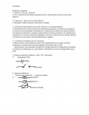 ¿Qué es un circuito Eléctrico?