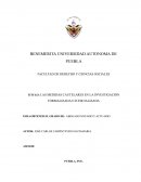 LAS MEDIDAS CAUTELARES EN LA INVESTIGACIÓN FORMALIZADA O JUDICIALIZADA