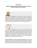 Capitalismo y socialismo en venezuela