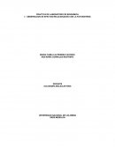 PRACTICA DE LABORATORIO DE BIOQUIMICA