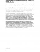 Cómo entenderían cada una de las perspectivas de la psicología social, el fenómeno de las identidades “trans”?