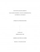 ¿Qué impactos generó la centralización en la empresa Anfer SAS?