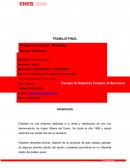 TRABAJO FINAL MARKETING. Elephant