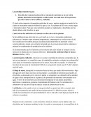 Investigación: absorción de nutrientes