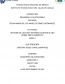 INFORME DE LECTURA “INFORME DE BRUNDTLAND SOBRE MEDIO AMBIENTE”