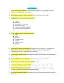 Sistema esquelético