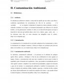 LA CONTAMINACION AMBIENTAL