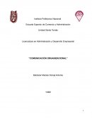 Comunicación Organizacional