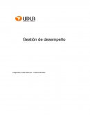 Gestion de desempeño