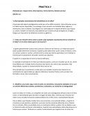 Practica antropologia y sociología