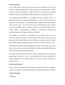 Resumen ejecutivo Aquilesgym