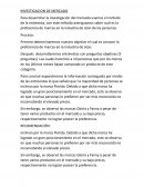 INVESTIGACION DE MERCADO-MÉTODO ENTREVISTA