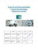 PLAN DE GESTIÓN SEGURIDAD Y SALUD OCUPACIONAL “PROYECTO ALTURA”