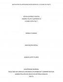 ASOCIACION DE ARTESANIAS MOPA-MOPA DE LA CIUDAD DE PASTO