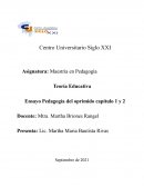 Ensayo de Paulo Freire. Teoría Educativa