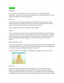 Cultura maya . Organización política y social