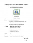 NORMAS RELATIVAS A LA PLANIFICACIÓN DE LA AUDITORIA GUBERNAMENTAL