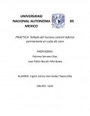 Tallado del incisivo central inferior permanente en cubo de cera